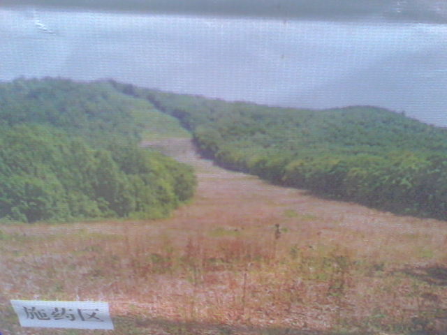 ɭ�ַ�������齨��